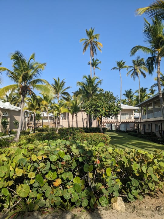 Gartenanlage Hotel Grand Palladium Palace Resort, Spa & Casino