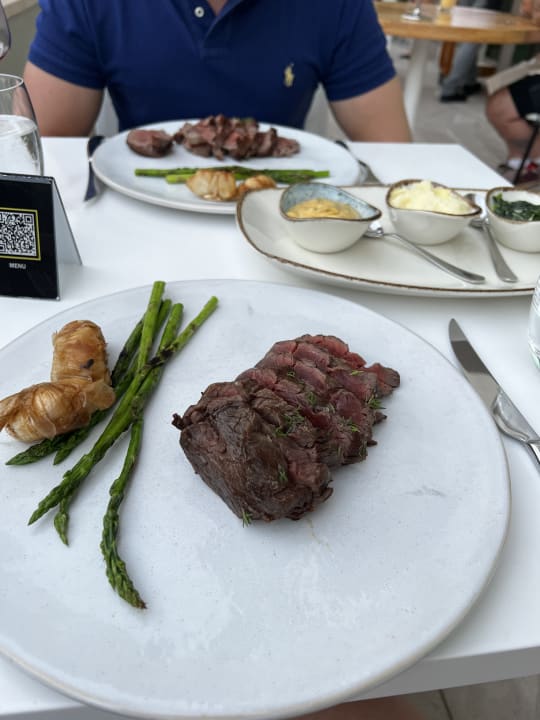 Gastro Acanthus Cennet Barut Collection