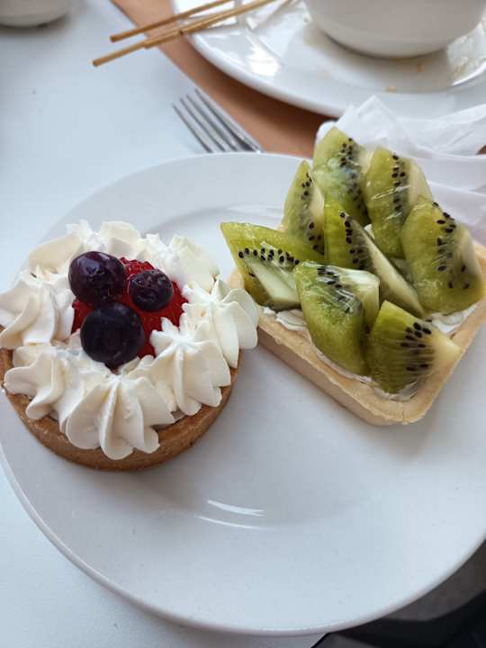 Gastro Seashell Vega