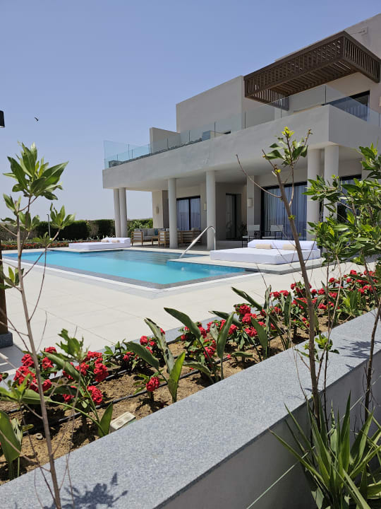 Zimmer JAZ Elite Amara