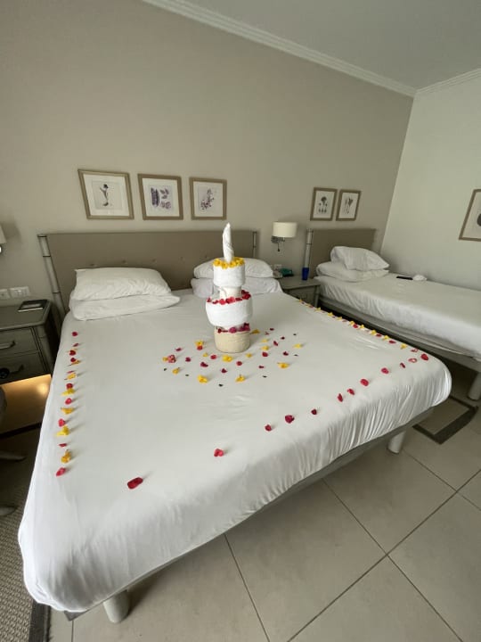 Zimmer JAZ Elite Casa del Mar Beach