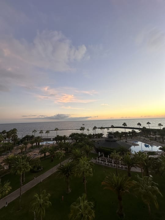 Gartenanlage Hotel Riu Palace Tenerife
