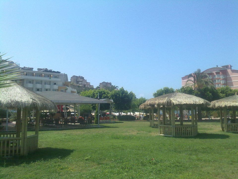 Golfrasen My Home Resort