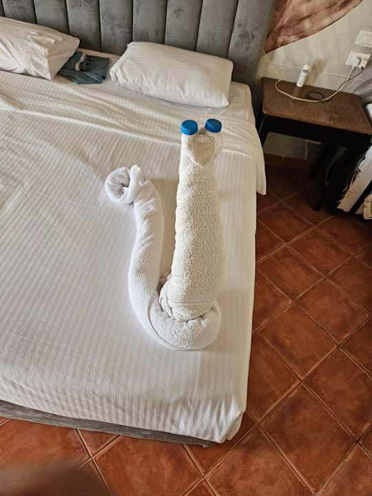 Zimmer Three Corners Sea Beach Resort