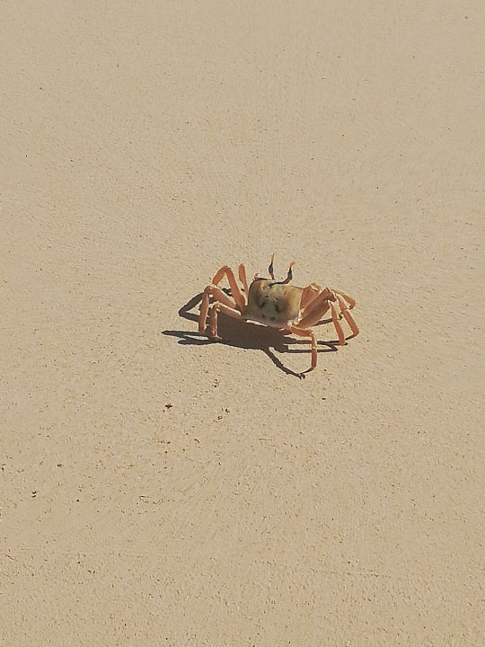 Strand Hotel Riu Touareg