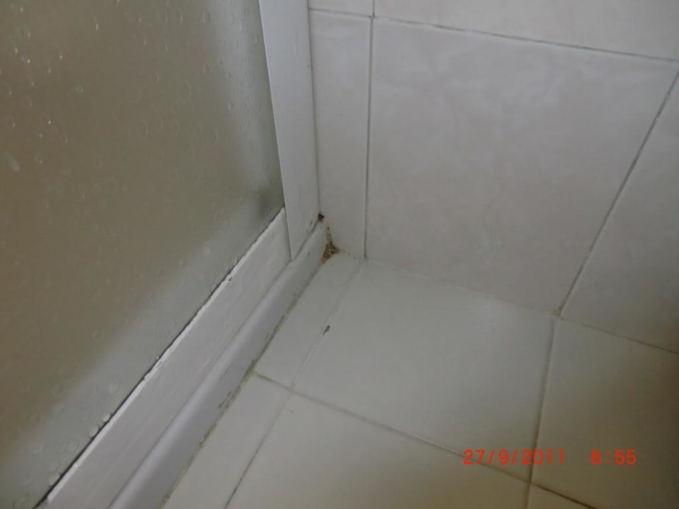 Schimmel und Dreck Duschkabine Centro Vacanze La Limonaia