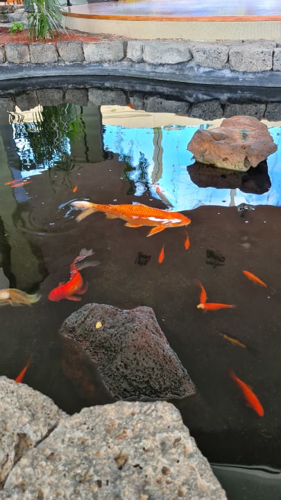 Sonstiges Hotel Grand Teguise Playa