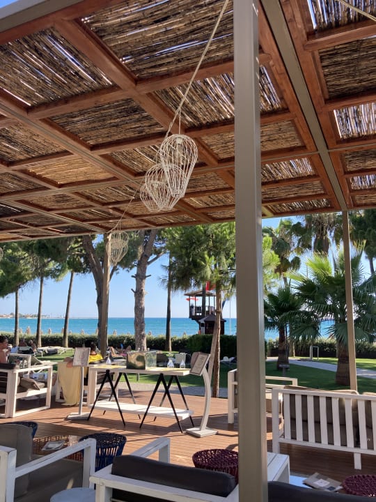 Gastro Acanthus Cennet Barut Collection