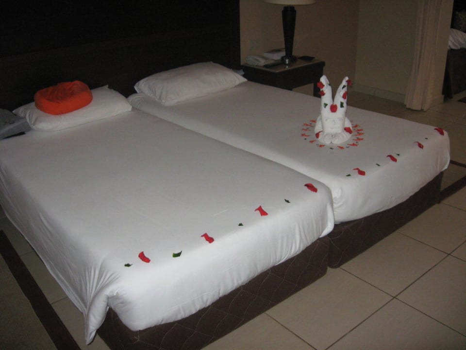 Bett Jaz Dar EL Madina