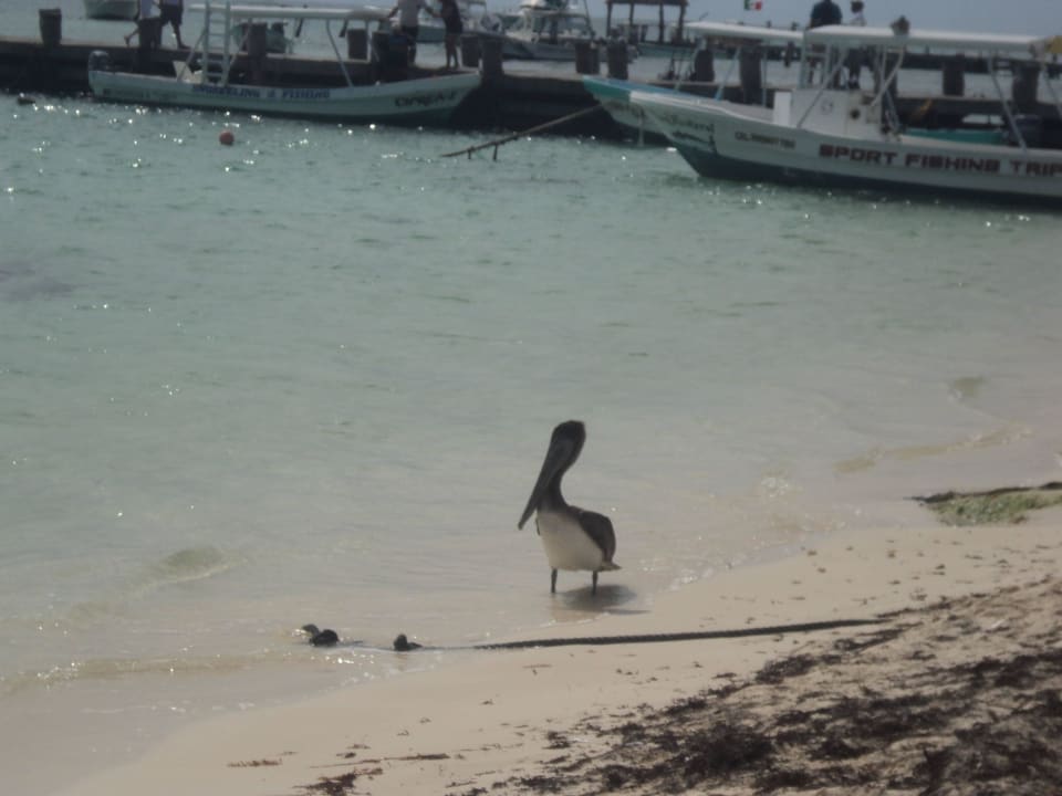 Droga do Puerto Morales Dreams Riviera Cancun Resort & Spa