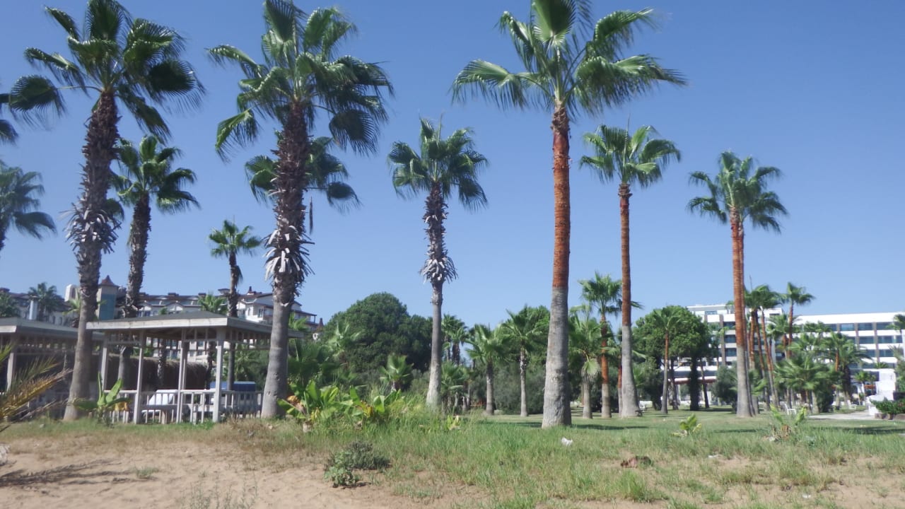 Ausblick Hotel Orfeus Park