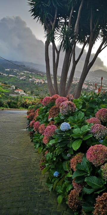 Gartenanlage Hotel Quinta Alegre