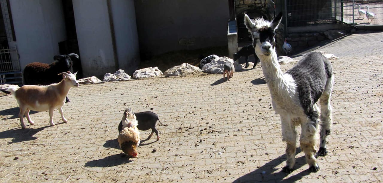 Außenansicht Hotel Lochmühle