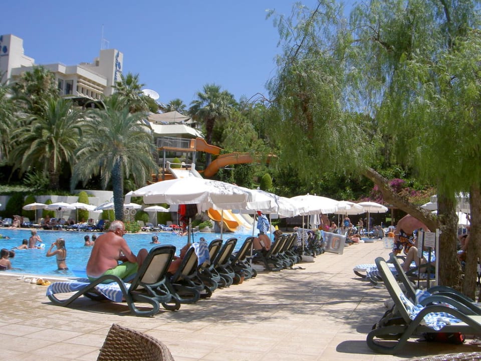 Pool Side Star Elegance