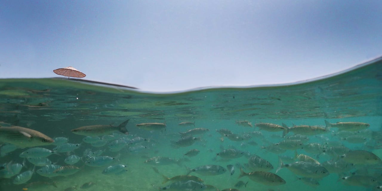 Sport & Freizeit Hotel Pine Bay Holiday Resort