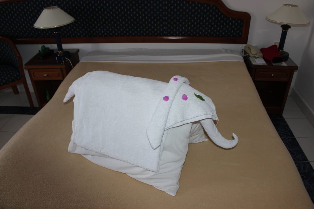 Слоник Desert Rose