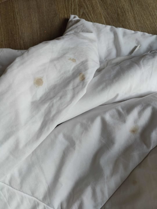 Zimmer Hotel Aiyara Palace