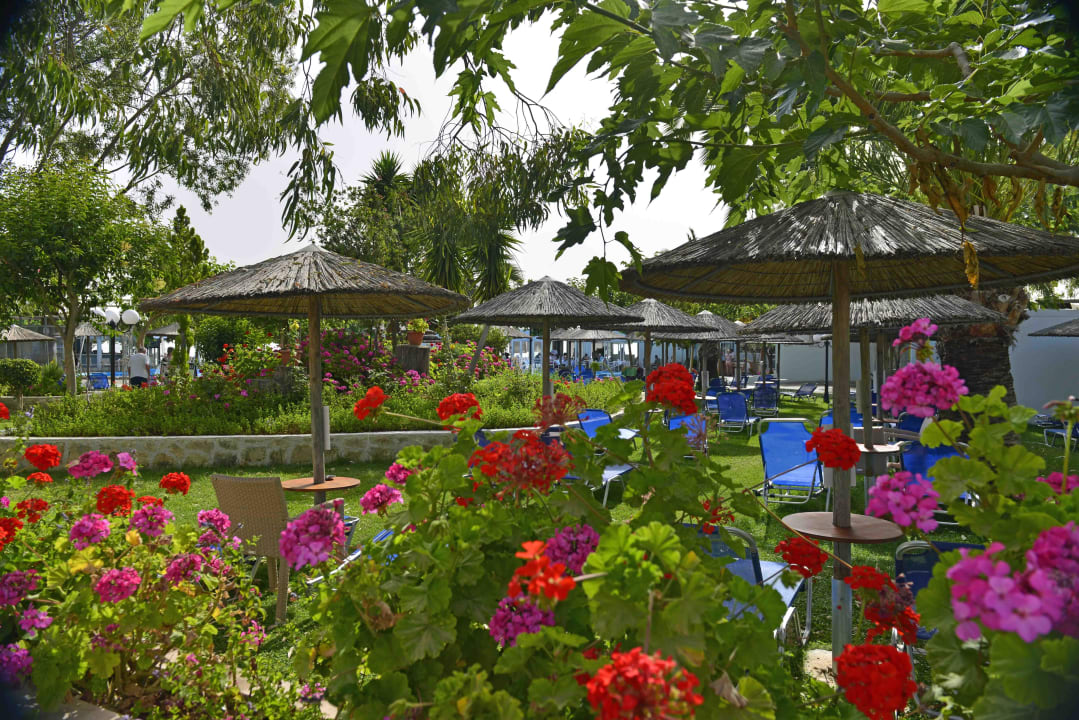 Sehr schön und bunt, Corissia Park Corissia Beach Hotel