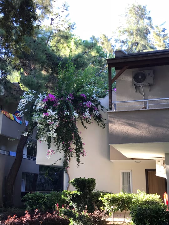 Gartenanlage Club Sidelya Hotel