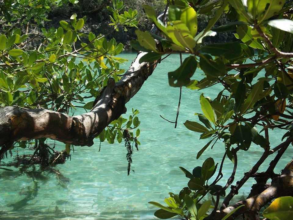 Lagune Hotel Playa Pesquero