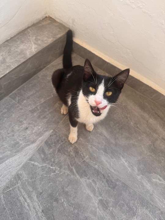 Sonstiges Delfina Tropic Beach