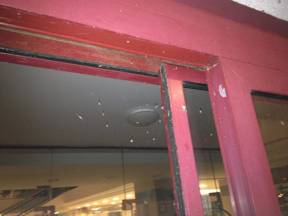 Spinnennetze überall Danubius Hotel Marina