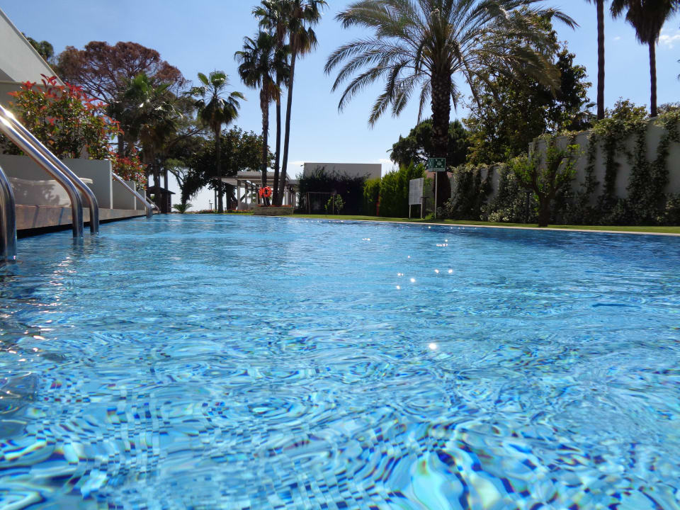 Pool Acanthus Cennet Barut Collection