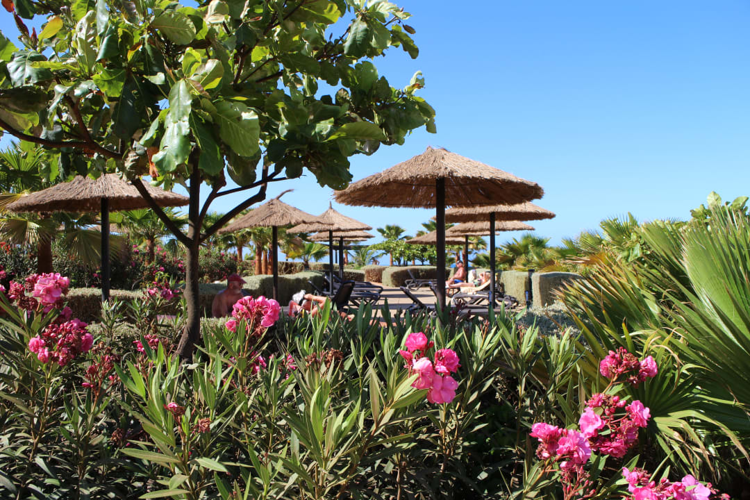 Pool Hotel Riu Touareg