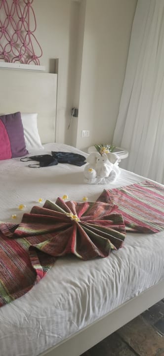 Zimmer Solana Beach Mauritius