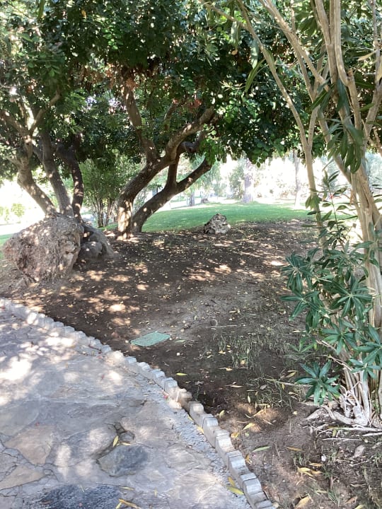 Gartenanlage TUI BLUE Sarigerme Park