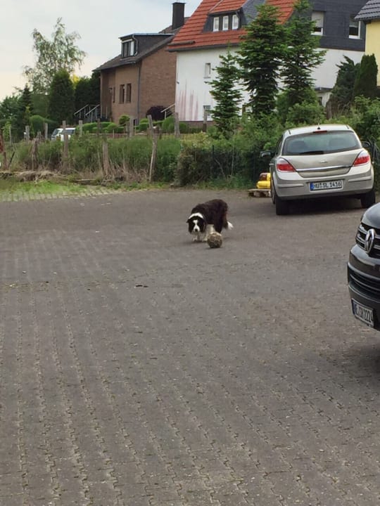 Sonstiges Willeke's Blütenhof