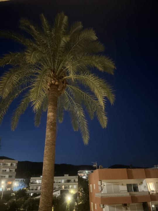Ausblick Hotel Son Caliu Spa Oasis