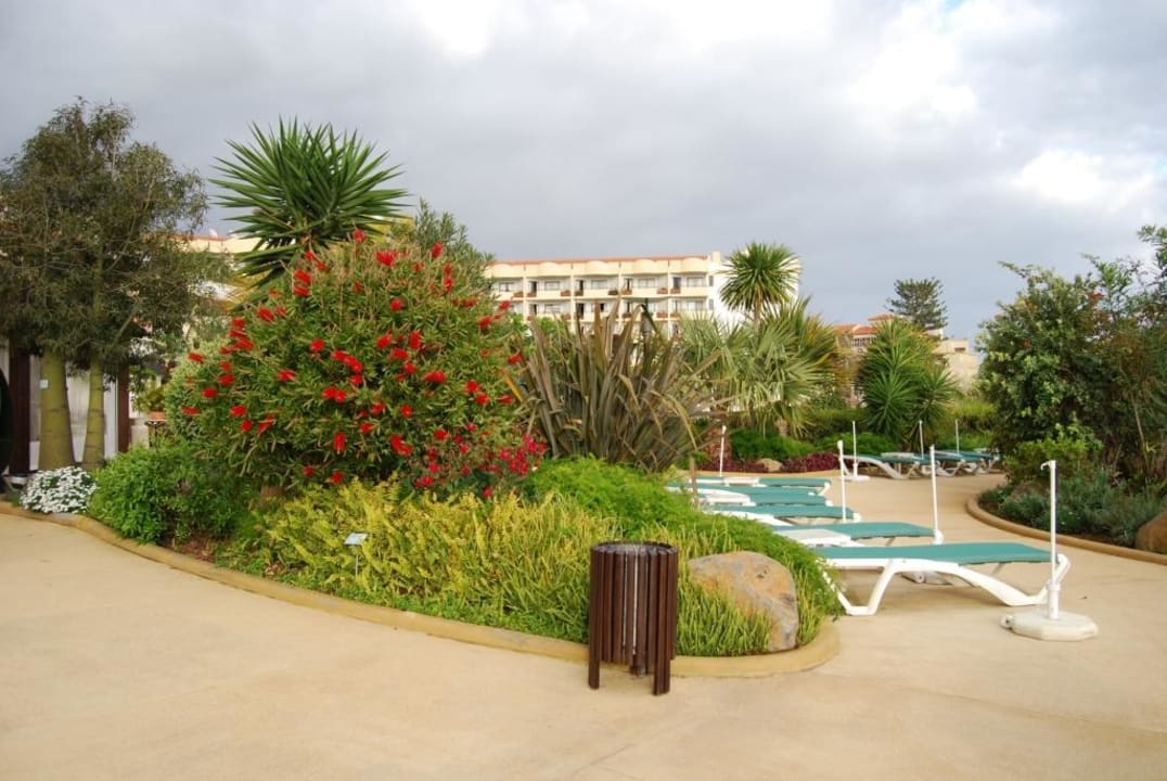 На территории отеля. Suite Hotel Eden Mar - PortoBay