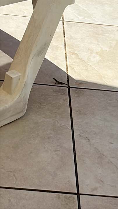 Außenansicht Hotel Victory Resort