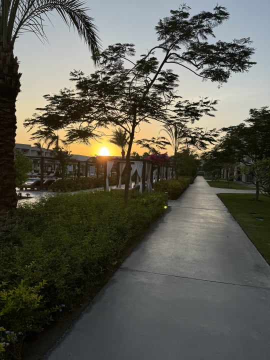 Außenansicht Steigenberger Resort Ras Soma