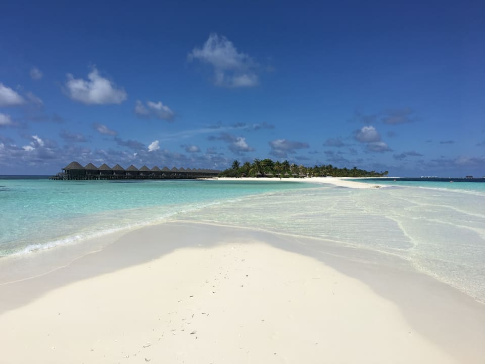 Blick von der Sandbank zur Insel Kuredu Island Resort & Spa