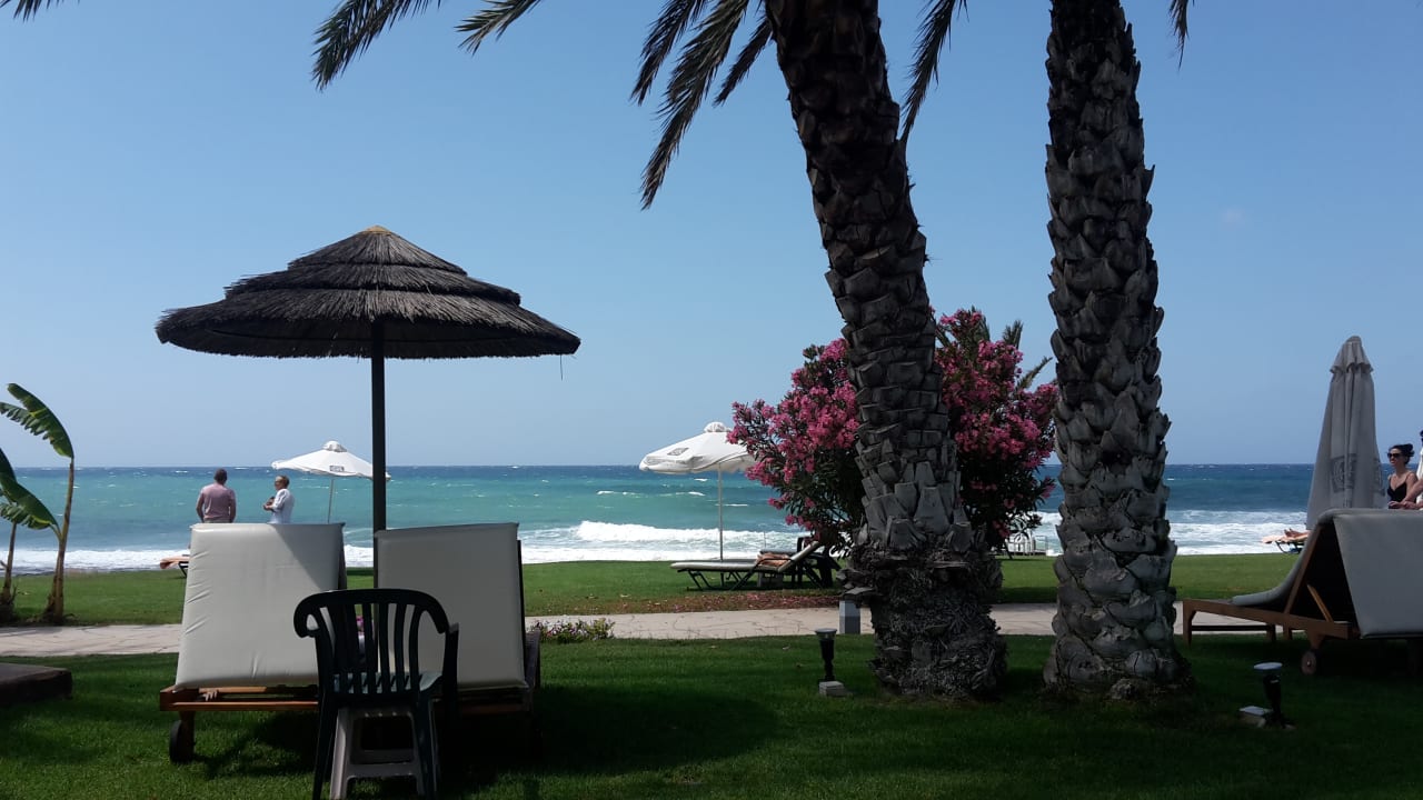 Gartenanlage Constantinou Bros Athena Royal Beach Hotel