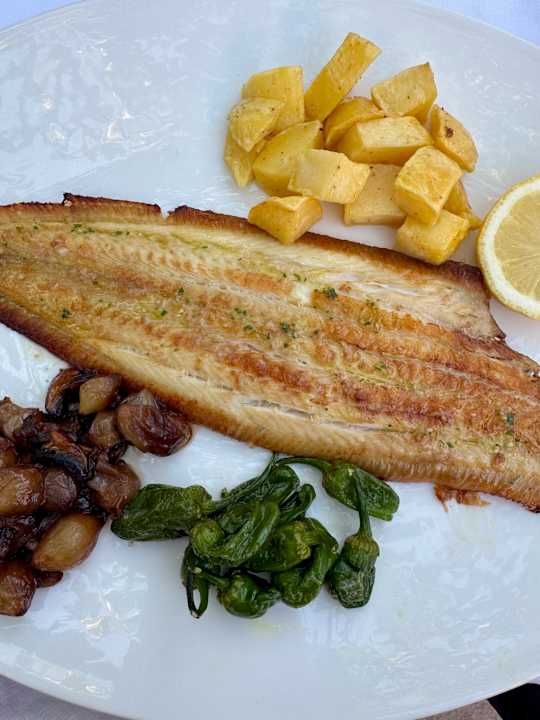 Gastro Hotel Son Trobat Wellness & Spa