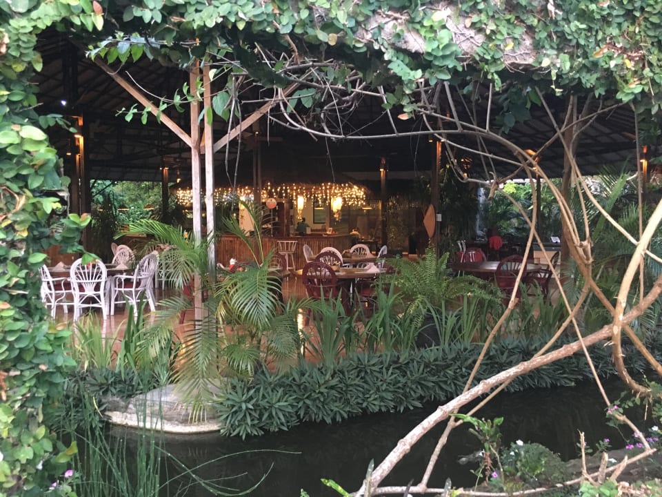 Gastro Hotel Thalassa Dive Resort