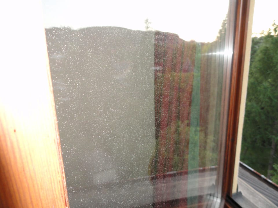 Schmutziges Fenster Hotel Wienerwald