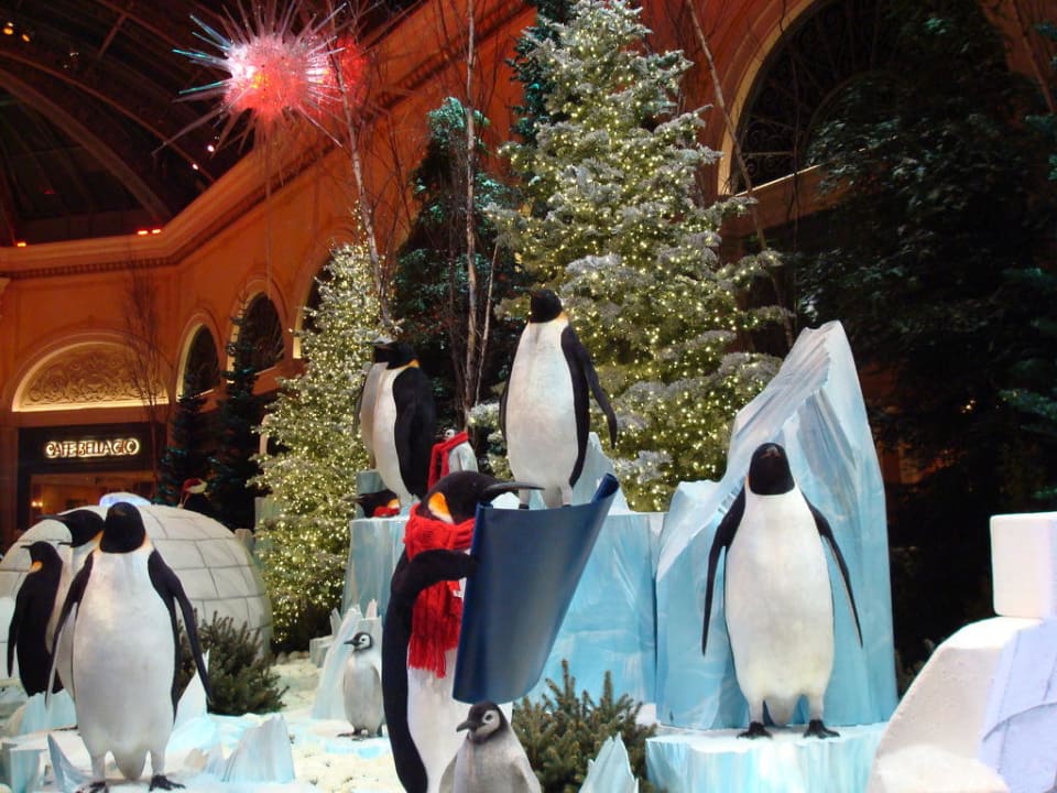 Botanischer Garten im Dezember Hotel Bellagio