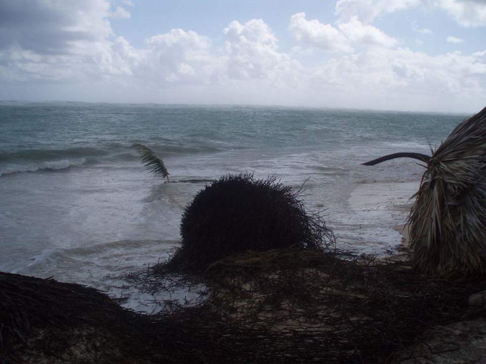Strand nach dem Sturm 8. Hotel Grand Palladium Palace Resort, Spa & Casino