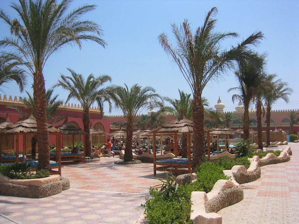 Betten und Liegen vor dem Hauptpool Pickalbatros Alf Leila Wa Leila Resort - Neverland Hurghada