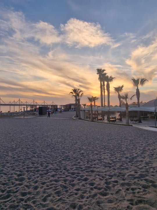 Gastro TUI BLUE Palm Garden