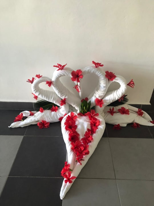 Zimmer Hotel Riu Republica - Adults only