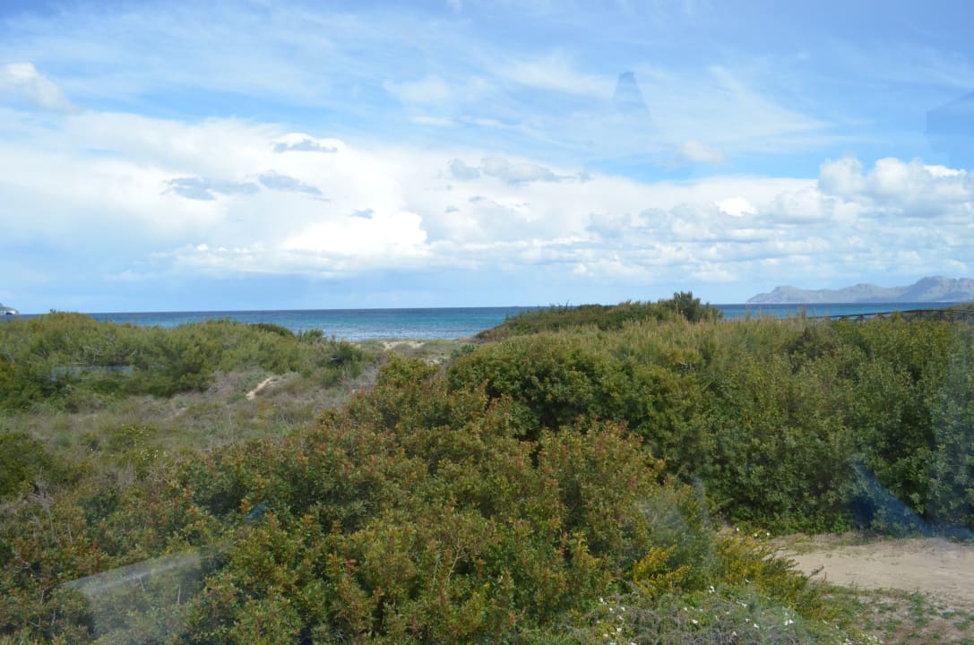 Ausblick allsun Hotel Eden Playa