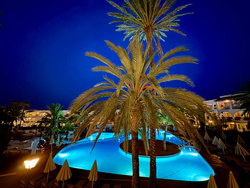 Zimmer Calimera Fido Gardens