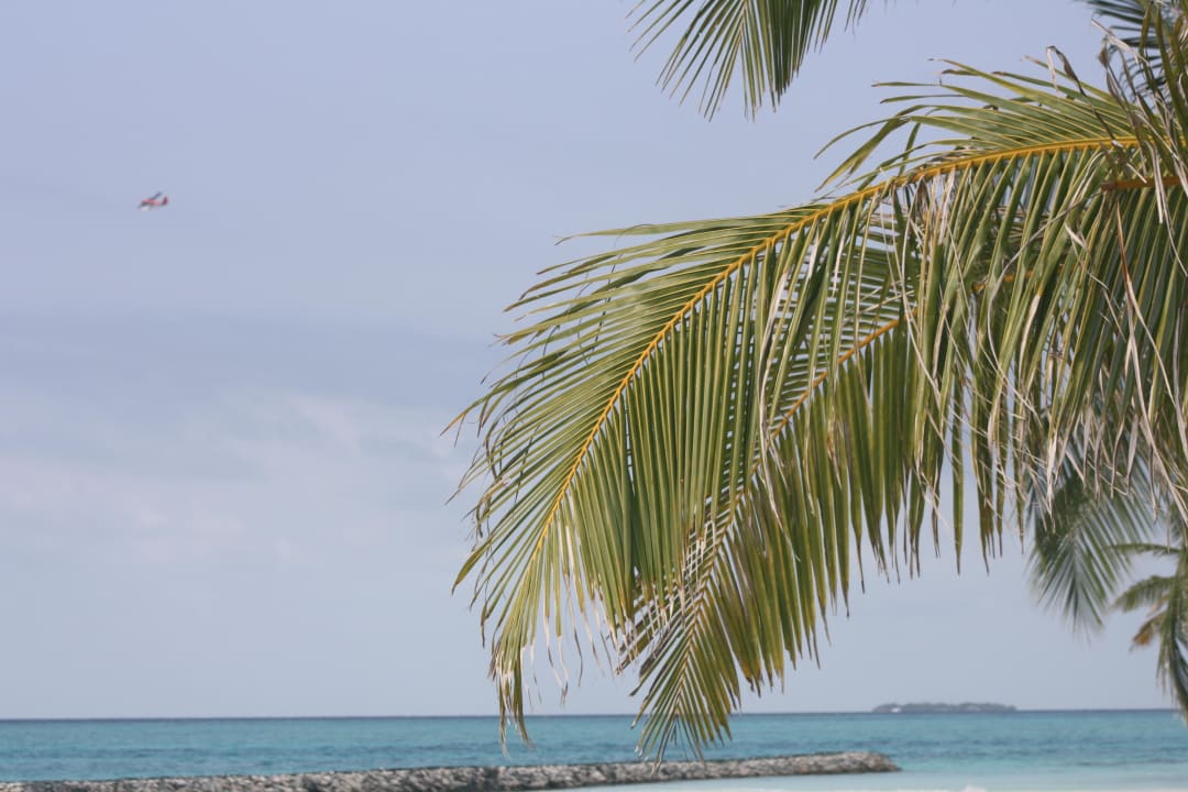 Air Taxi Summer Island Maldives