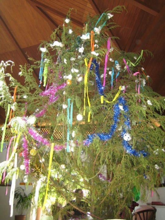 Weihnachtsbaum Embudu Village