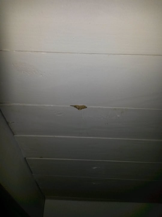 Die Leckstellen müssen schon läger sein. Wyndham Alltra Samana